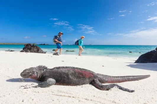 GALAPAGOS TOUR (PRUEBA)
